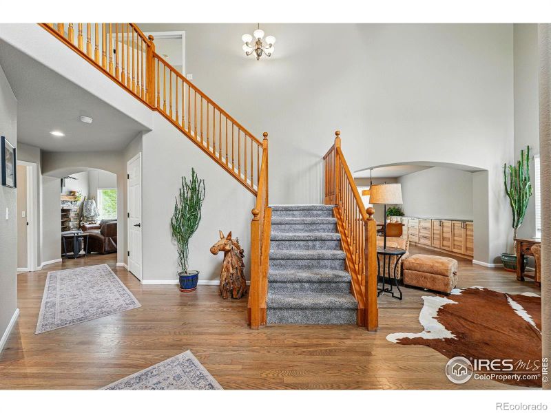 682 Briar Dale Dr, Castle Pines, CO 80108