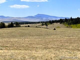 7493 Ranch Rd Lot 0835, Hartsel, CO 80449