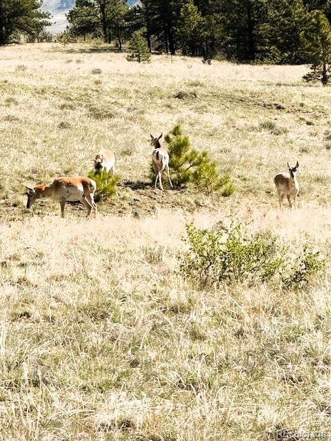 7493 Ranch Rd Lot 0835, Hartsel, CO 80449