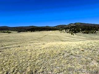 7493 Ranch Rd Lot 0835, Hartsel, CO 80449