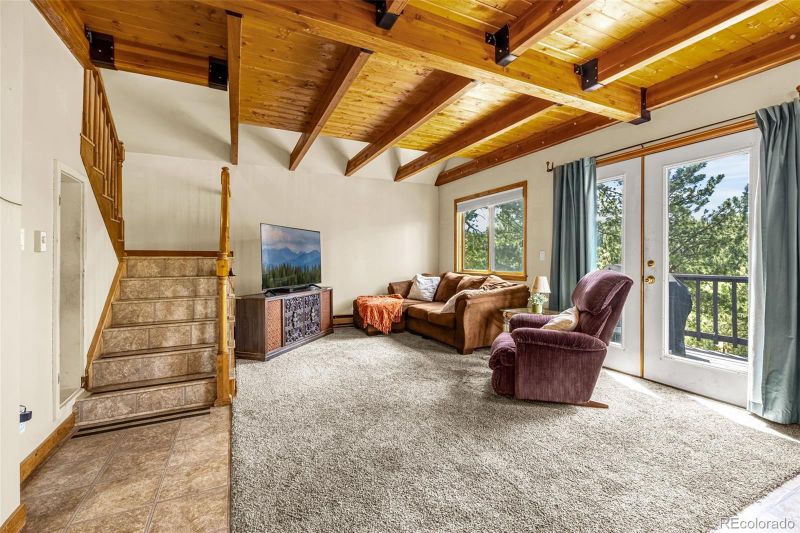 53 Lake Cir, Divide, CO 80814