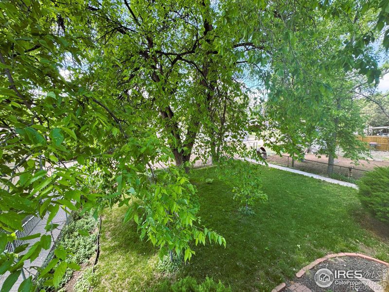 517 Beattie St, Sterling, CO 80751