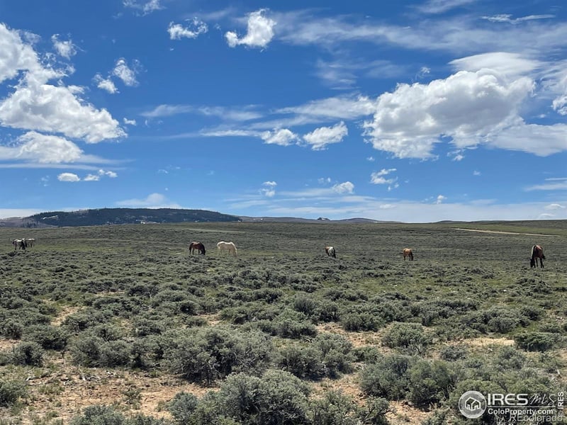Jackson County Road 26, Walden, CO 80480