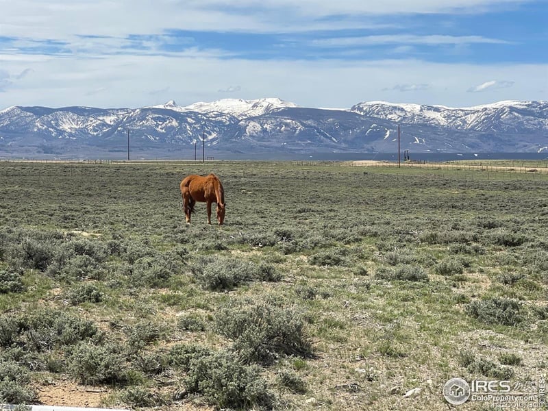 Jackson County Road 26, Walden, CO 80480