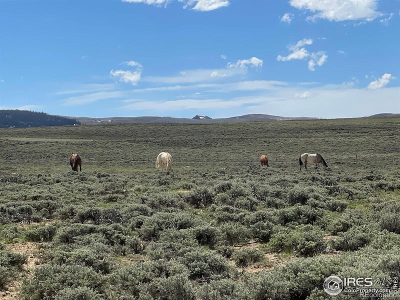 Jackson County Road 26, Walden, CO 80480