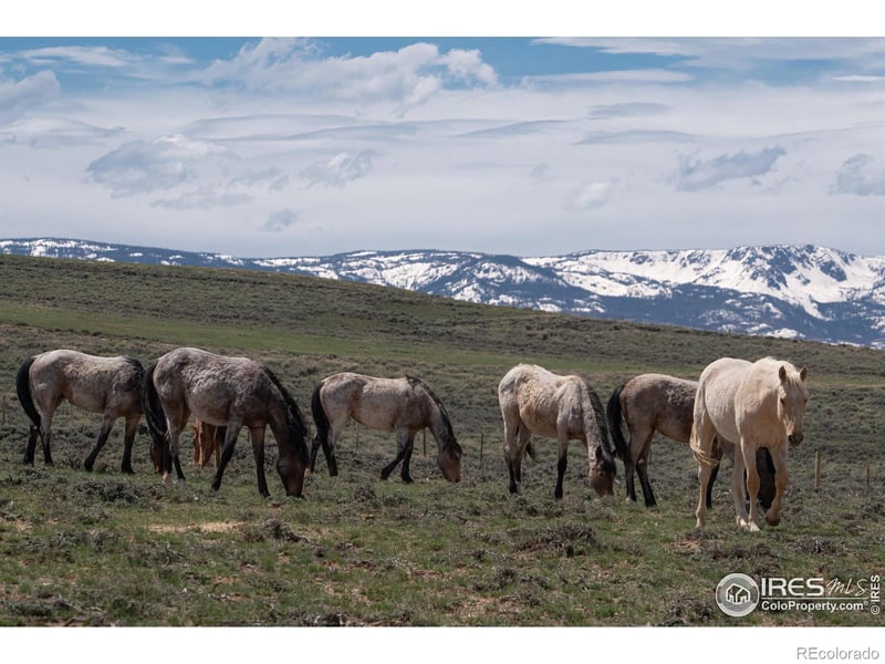 Jackson County Road 26, Walden, CO 80480