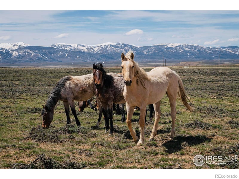 Jackson County Road 26, Walden, CO 80480
