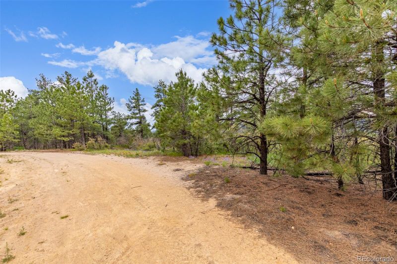 2050 Spring Beauty Ln Lot 9, Larkspur, CO 80118