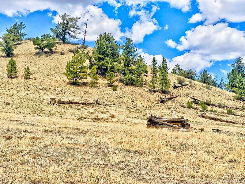 243 June Ln, Hartsel, CO 80449