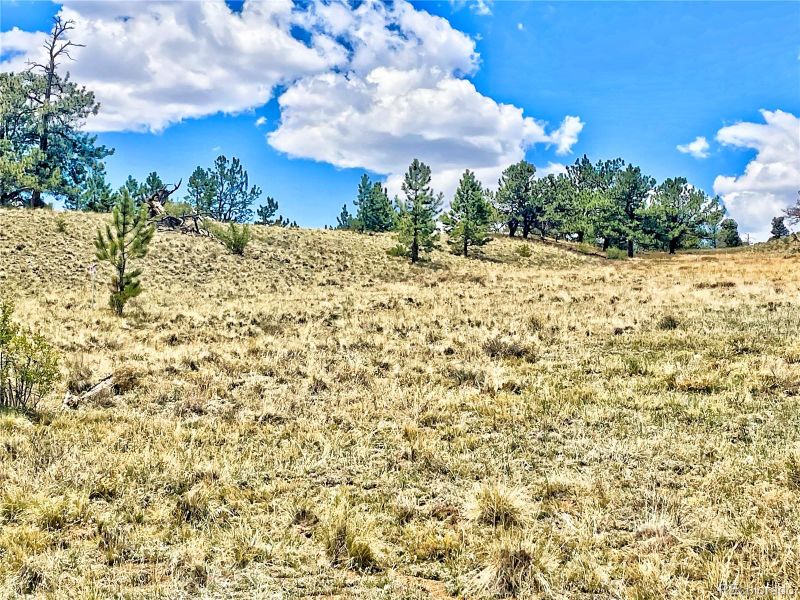 243 June Ln, Hartsel, CO 80449