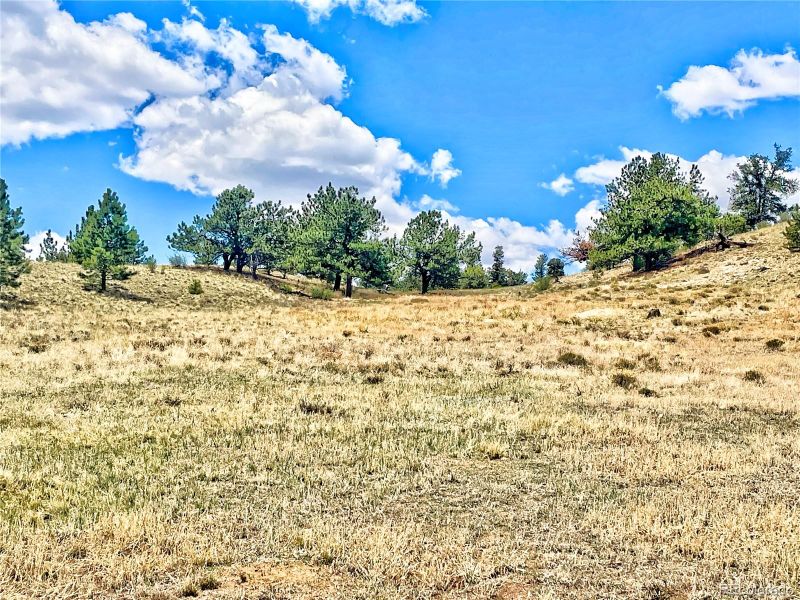243 June Ln, Hartsel, CO 80449
