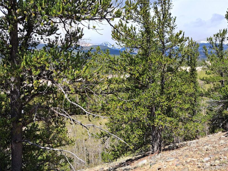 00 Ponderosa Rd, Fairplay, CO 80440