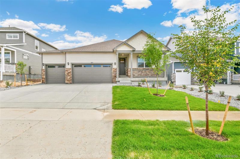 14259 Beebalm Ave, Parker, CO 80134