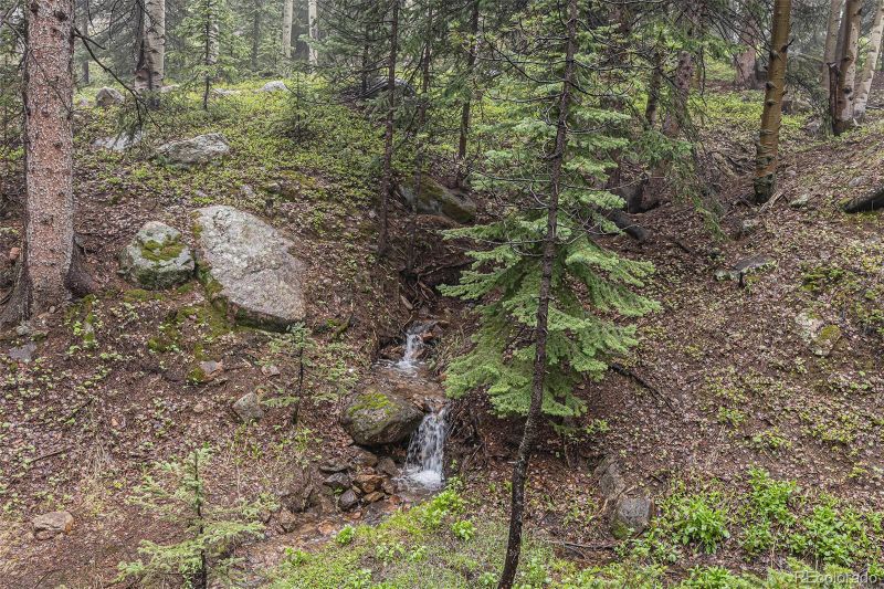 10419 Christopher Dr, Conifer, CO 80433