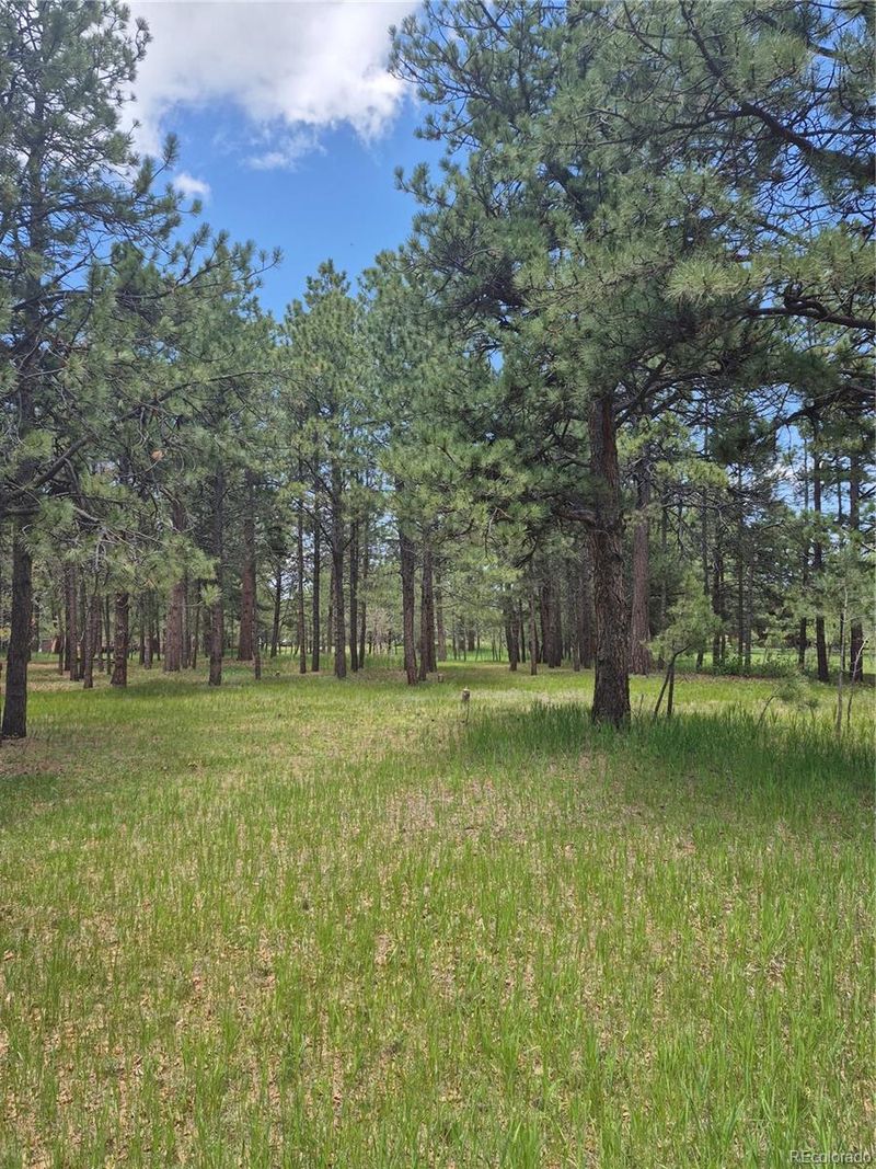 19420 Glen Cannon Way, Monument, CO 80132