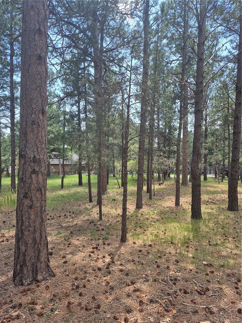 19420 Glen Cannon Way, Monument, CO 80132