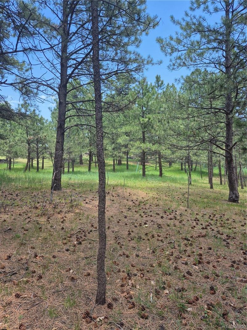 19420 Glen Cannon Way, Monument, CO 80132