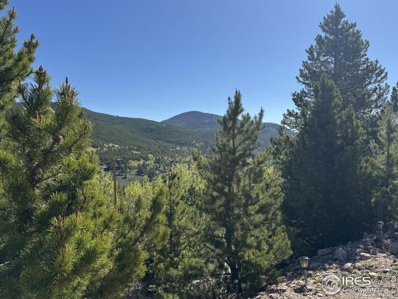 3181 Ottawa Way, Red Feather Lakes, CO 80545