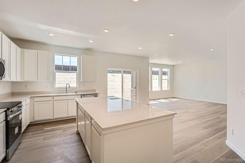 10984 Snowdon St, Parker, CO 80134