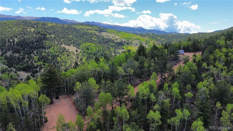 County Road 61 Ct Rd, Divide, CO 80814
