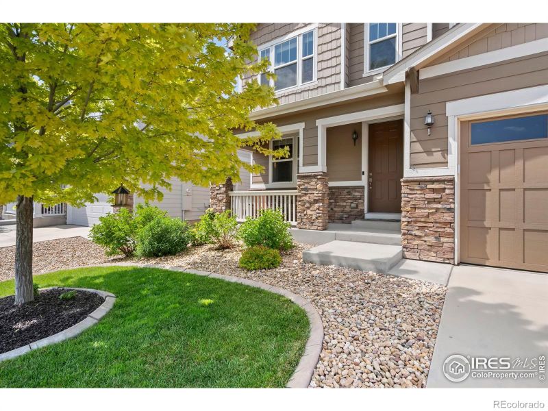 1540 Reynolds Dr, Windsor, CO 80550