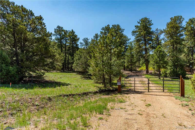 288 Bear Ln, Cotopaxi, CO 81223