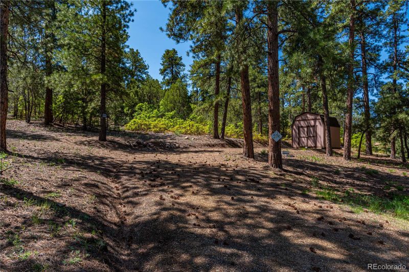 288 Bear Ln, Cotopaxi, CO 81223