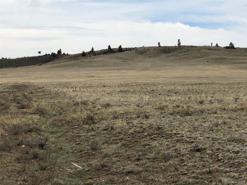 000 Lipan Rd, Hartsel, CO 80449