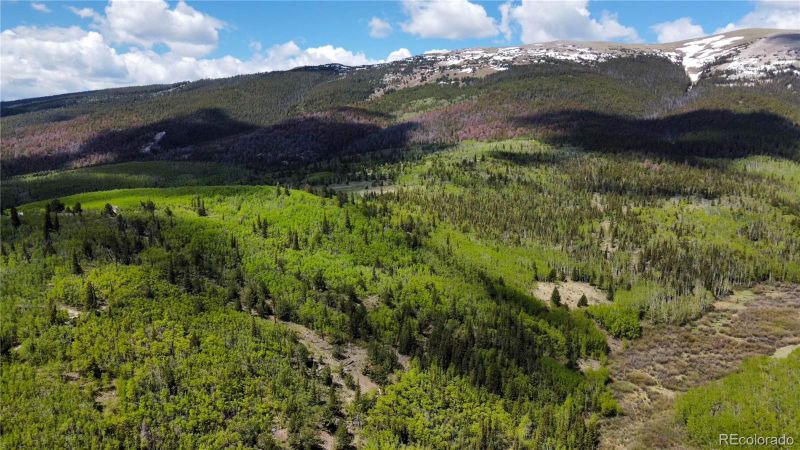 59 Aspen Way Lot 29A, Fairplay, CO 80440
