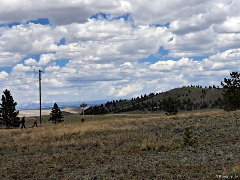 311 Haystack Rd, Hartsel, CO 80449