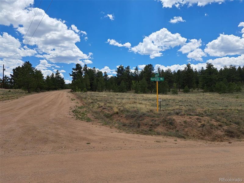 311 Haystack Rd, Hartsel, CO 80449