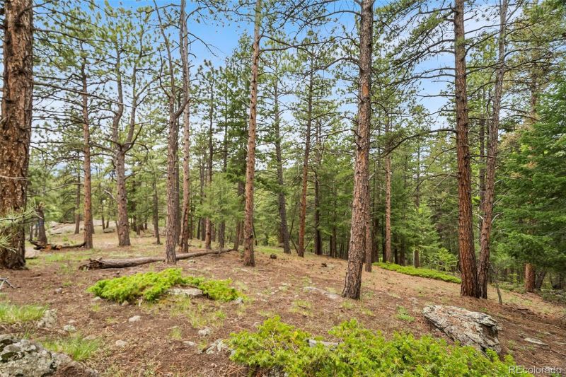 5825 High Dr, Evergreen, CO 80439
