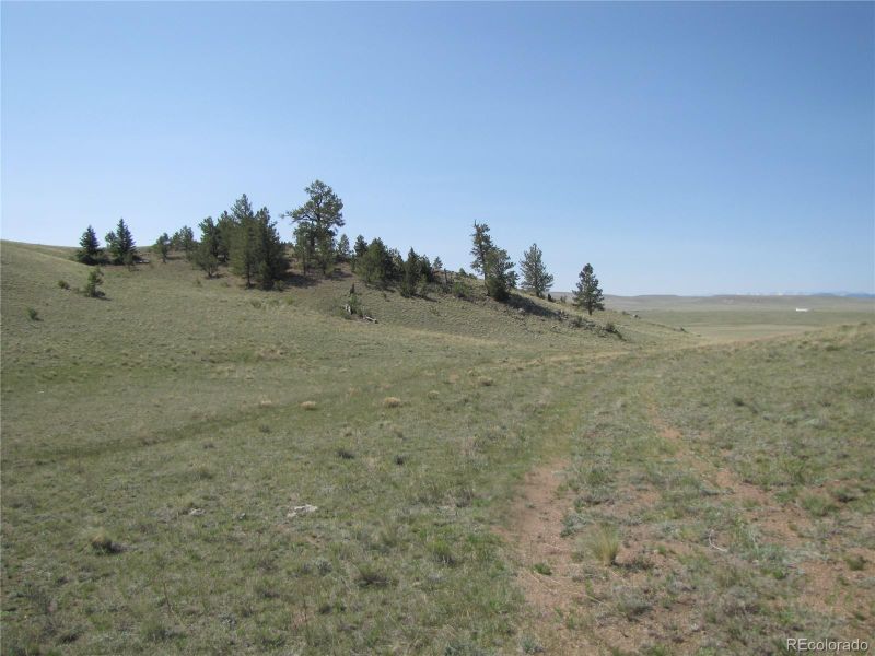 792 Kinkehee Trl, Hartsel, CO 80449