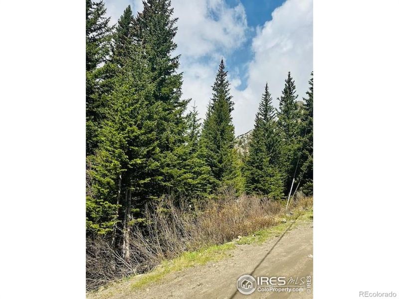0 Mine Rd, Idaho Springs, CO 80452