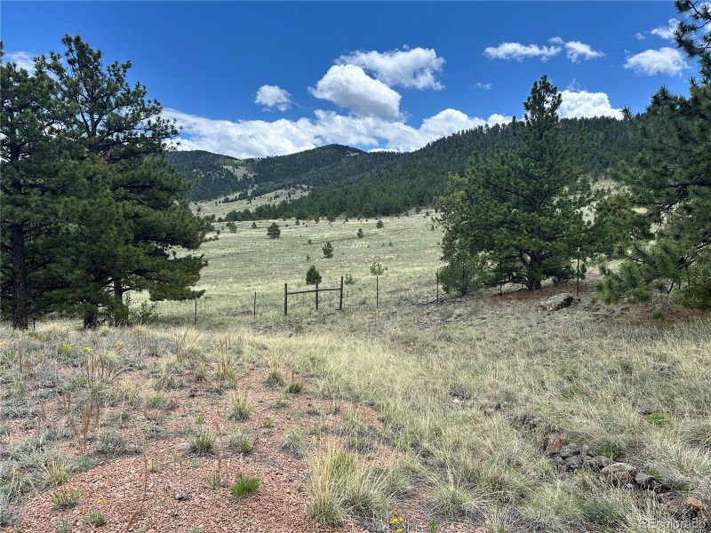 706 Bristlecone Rd, Guffey, CO 80820