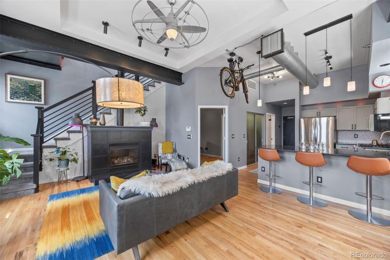 225 N Lincoln St #3, Denver, CO 80203