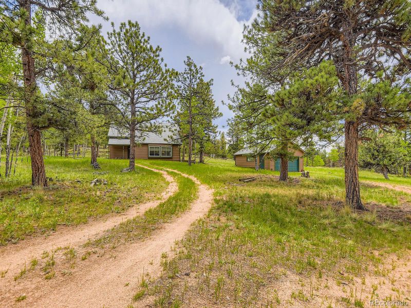 52 Branding Iron Ln, Bailey, CO 80421