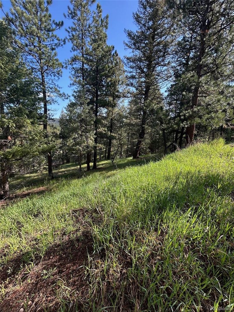 0 Camel Heights Cir, Evergreen, CO 80439