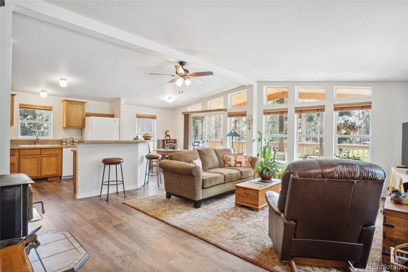 249 Tabor Dr, Leadville, CO 80461