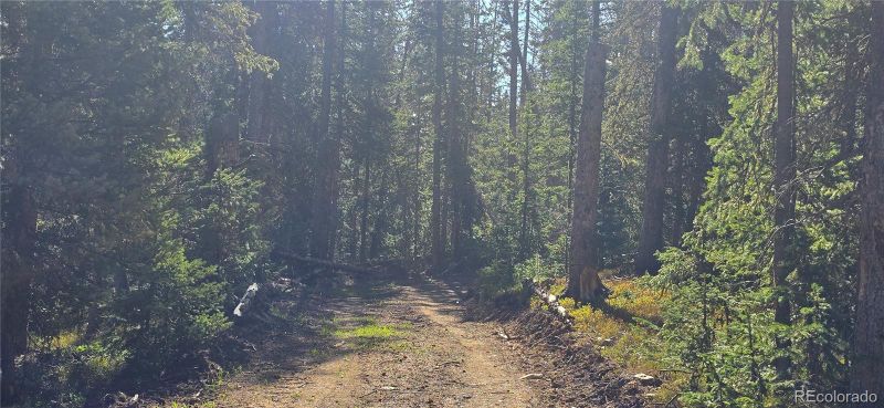 Lot 6515 Doyle Rd, San Luis, CO 81152