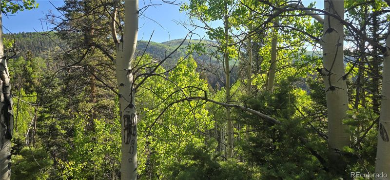 Lot 6385 Jaquez Rd, San Luis, CO 81152