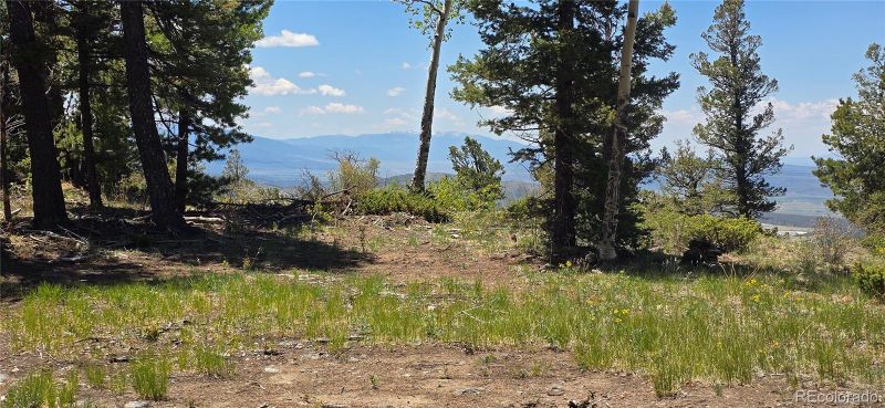 Lot 5546 Balleroy Rd, Fort Garland, CO 81133