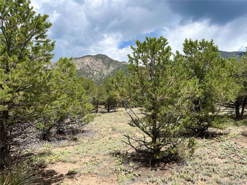 Blk 49 Lots 7 10, Crestone, CO 81131