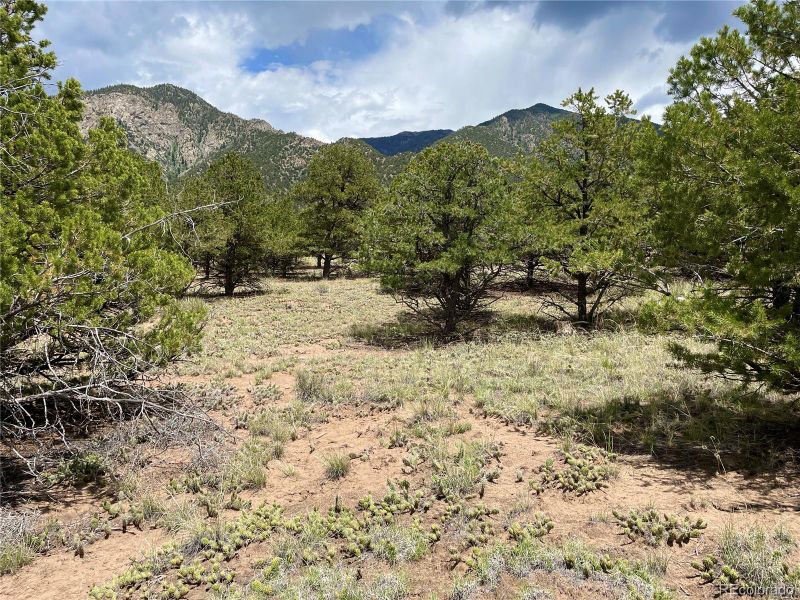 Blk 49 Lots 7 10, Crestone, CO 81131