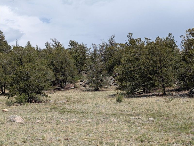 310 Grand Ln Lot 52, Hartsel, CO 80827