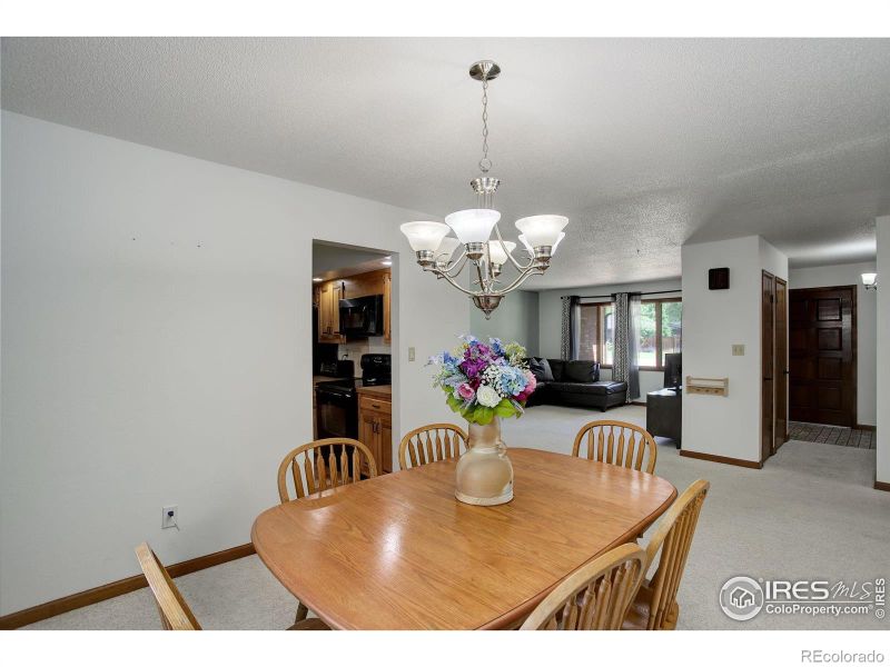 507 Chestnut St, Windsor, CO 80550
