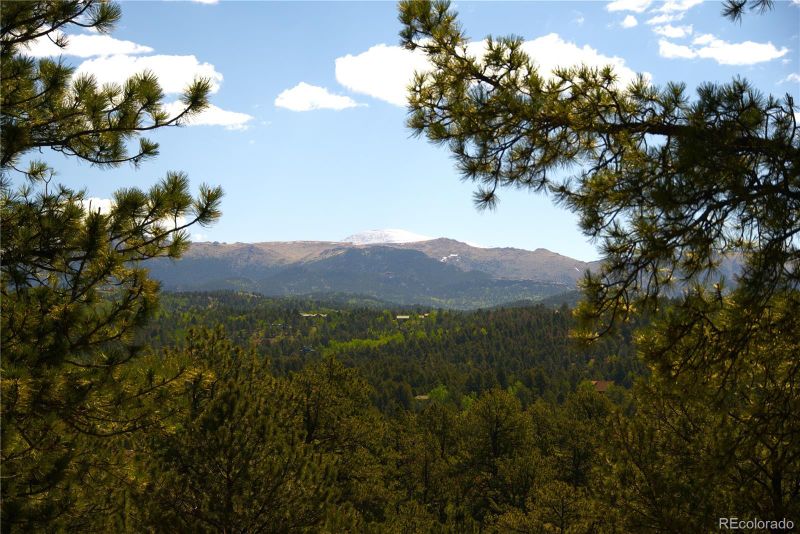 29 Dexter Cir, Cripple Creek, CO 80813
