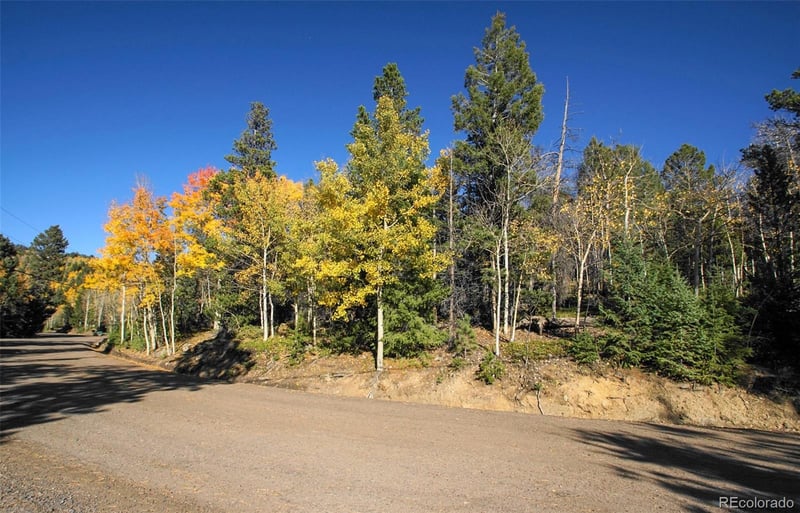 11637 Leavenworth Dr, Conifer, CO 80433