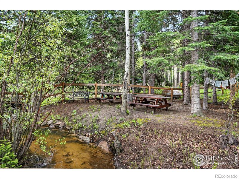 1634 Caribou Rd, Nederland, CO 80466