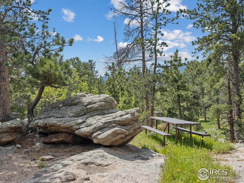 84 County Road 113 N, Allenspark, CO 80510